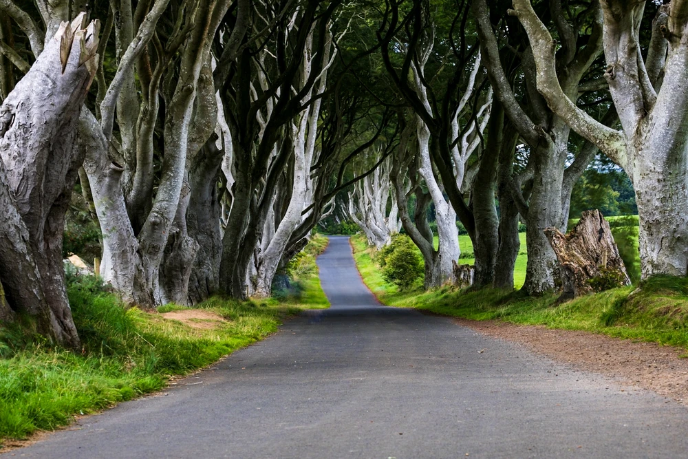 Imagine încărcată de Andrei