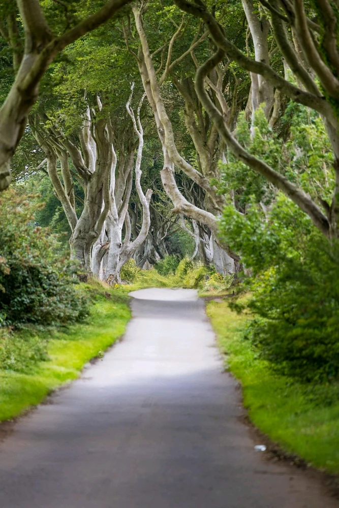 Imagine încărcată de Andrei