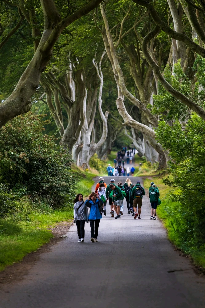 Imagine încărcată de Andrei