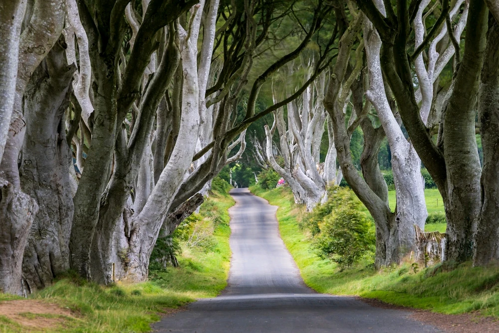 Imagine încărcată de Andrei