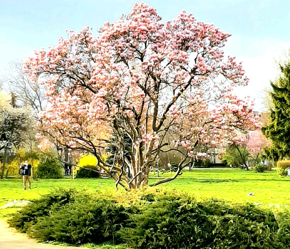 GIF încărcat de Tudor