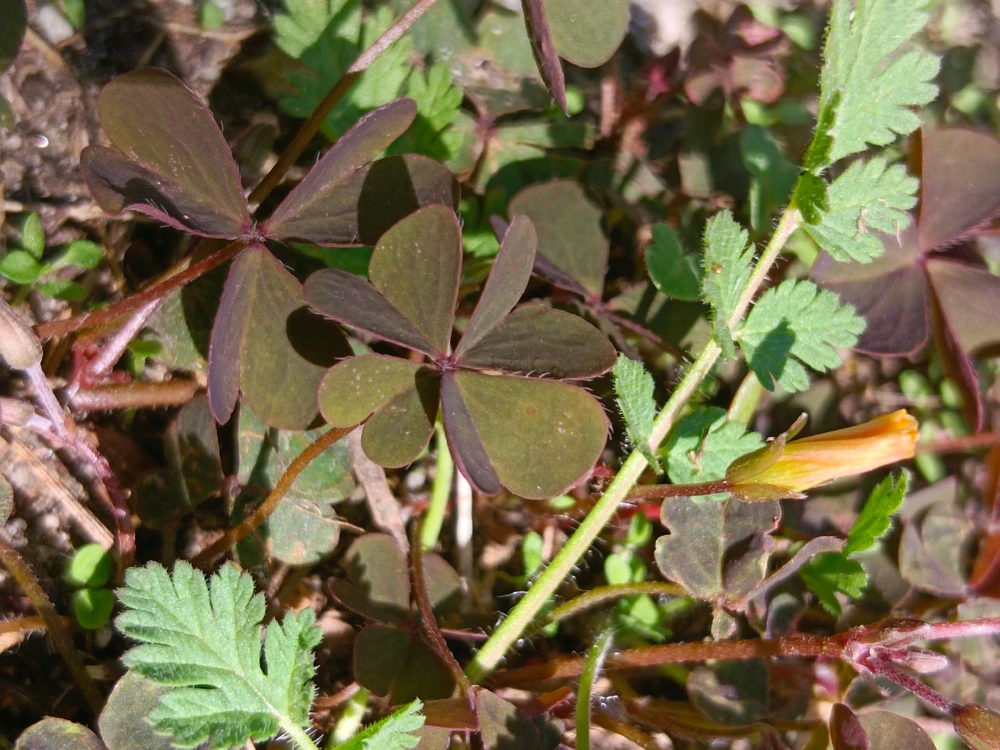 Bild hochgeladen von Kevin