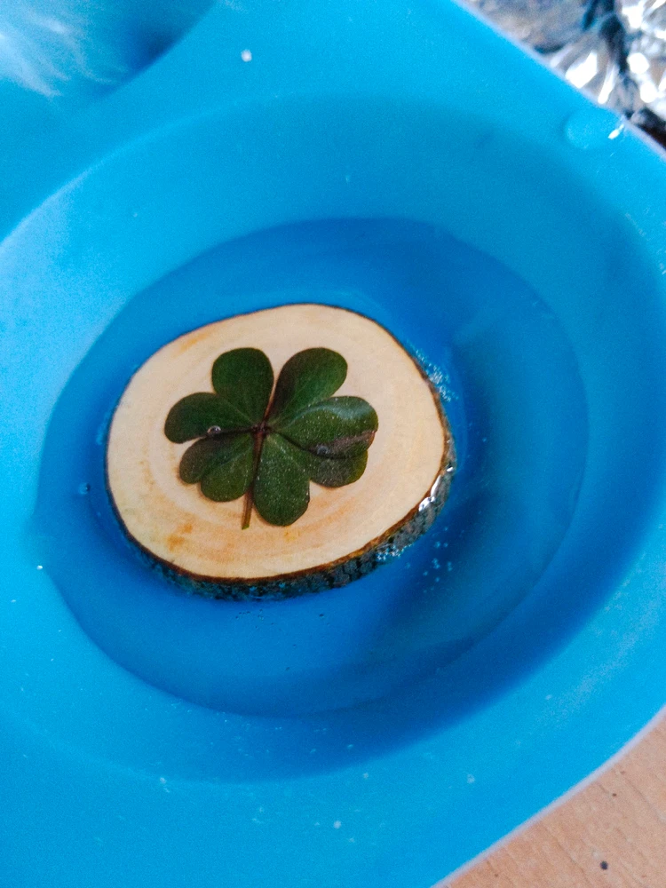 Bild hochgeladen von Kevin