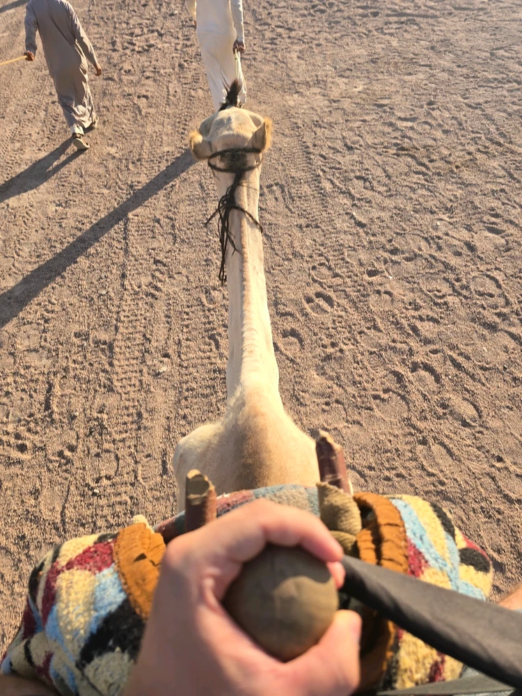 Immagine caricata da Lorenzo