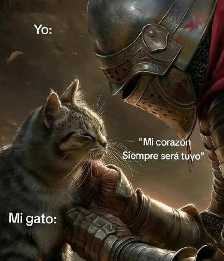 Imagen subida por Marcelo