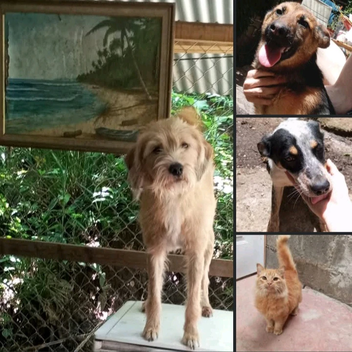 Imagen subida por Marcelo