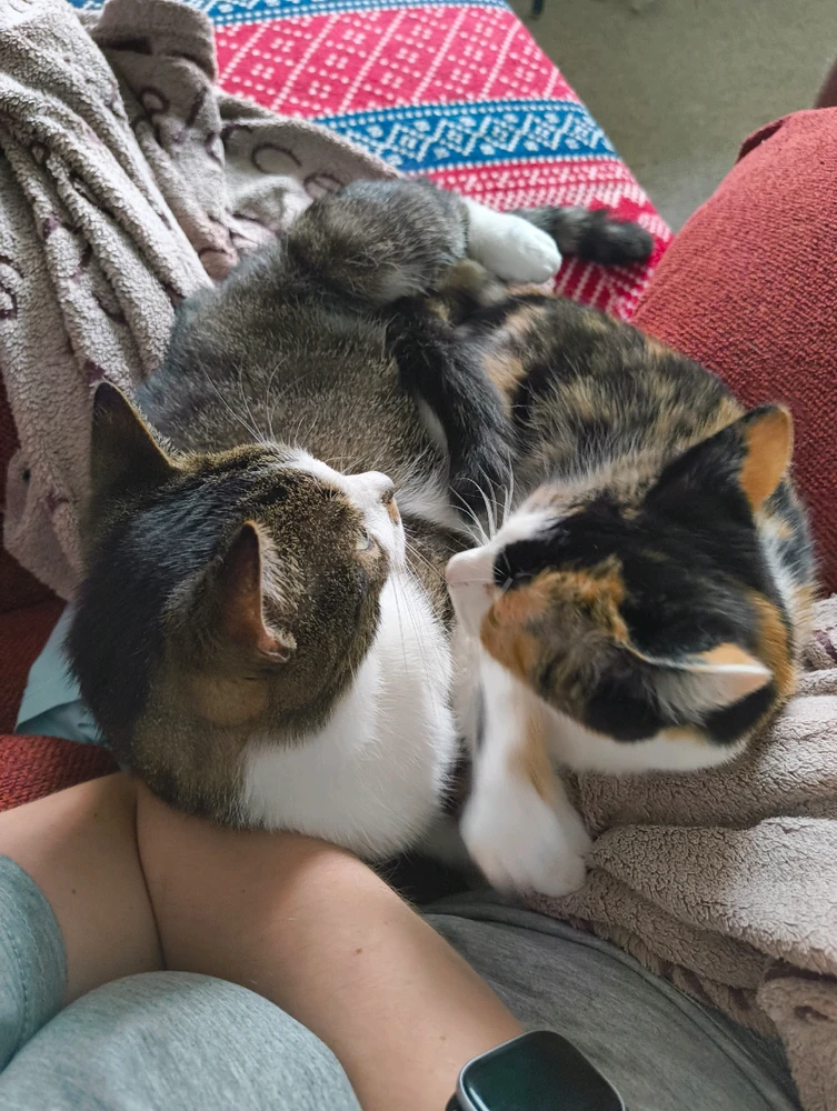 GIF uploaded by Diana