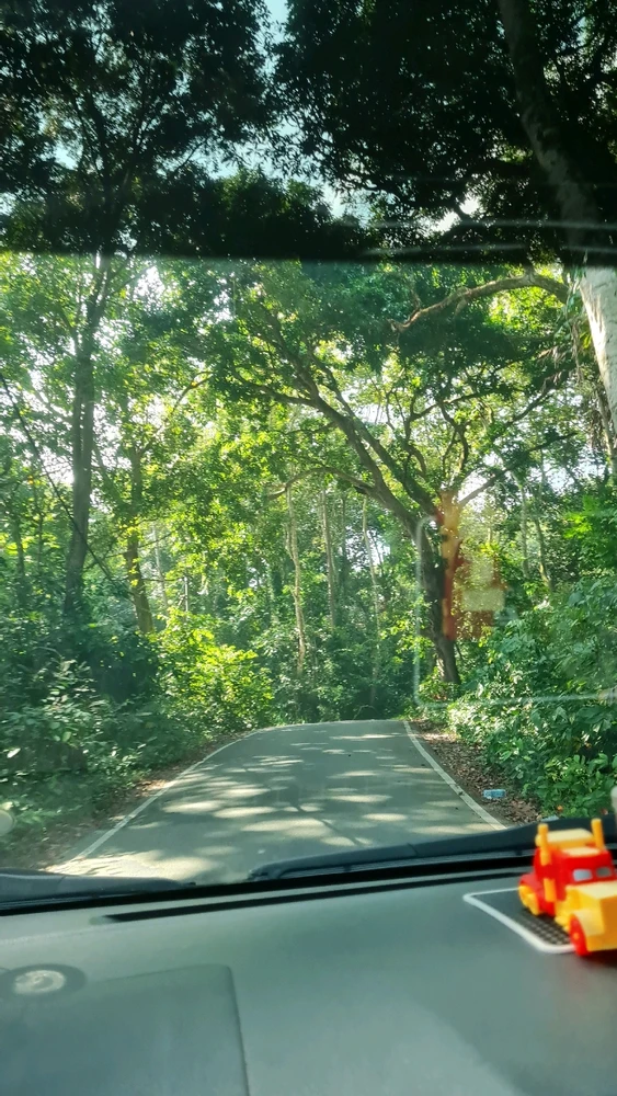 Image uploaded by yooniverse