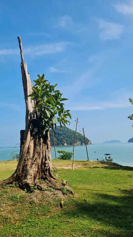 Image uploaded by yooniverse