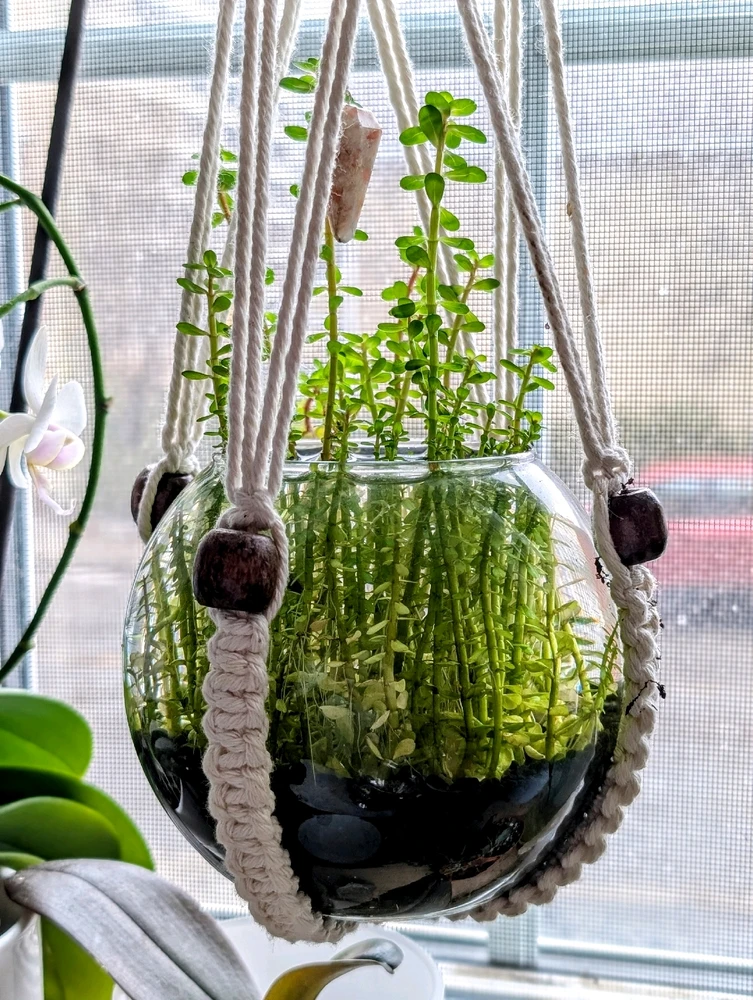 Image uploaded by Lilianne