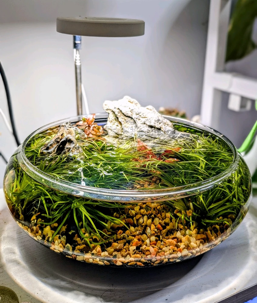 Image uploaded by Lilianne