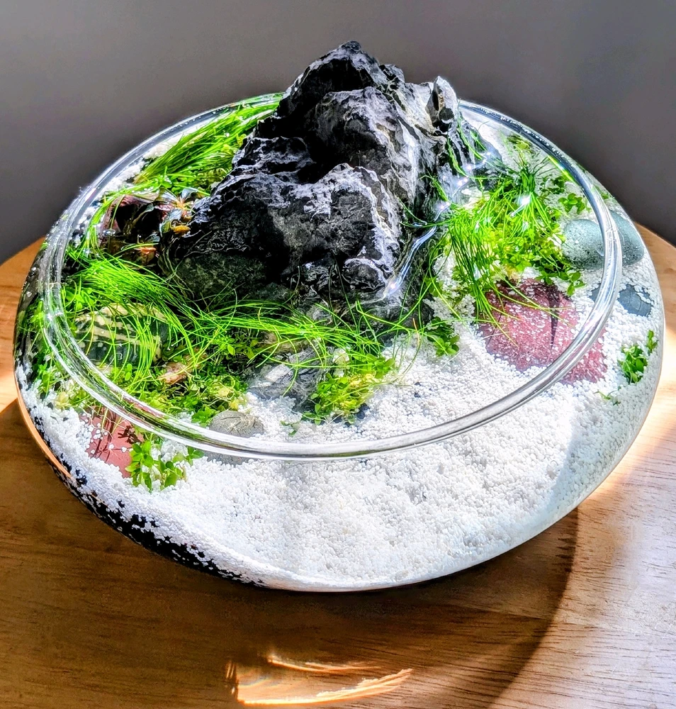 Image uploaded by Lilianne