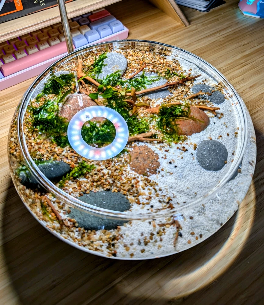 Image uploaded by Lilianne