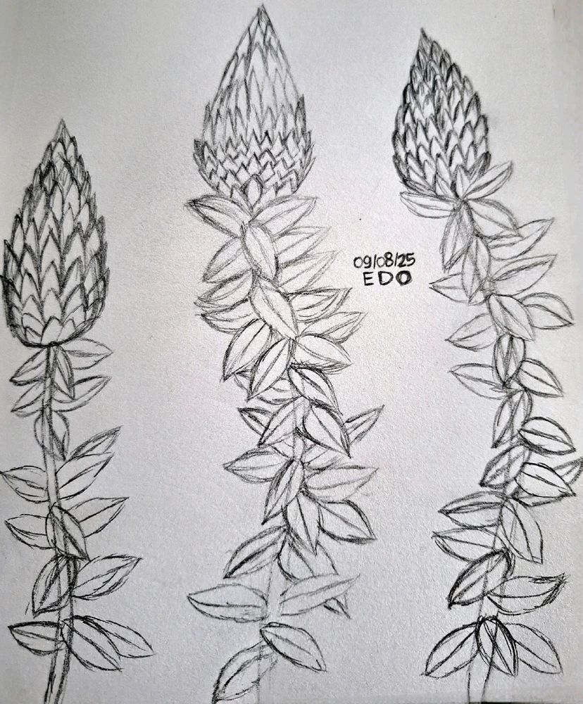 Gambar diunggah dening Edo