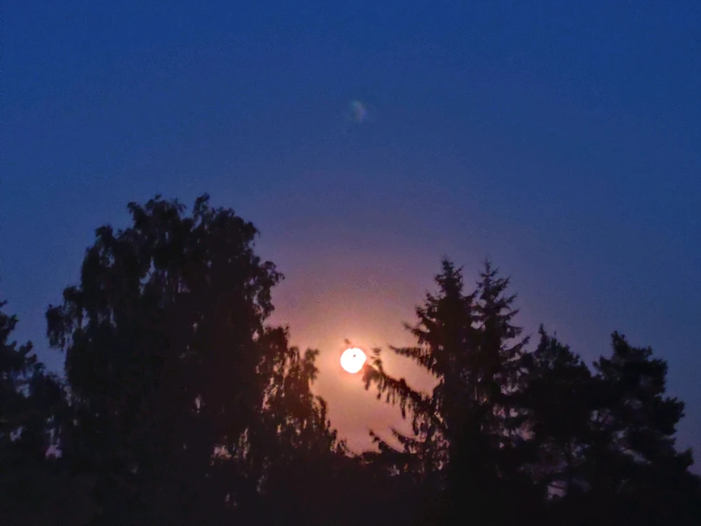 Obrázek nahrál Petra