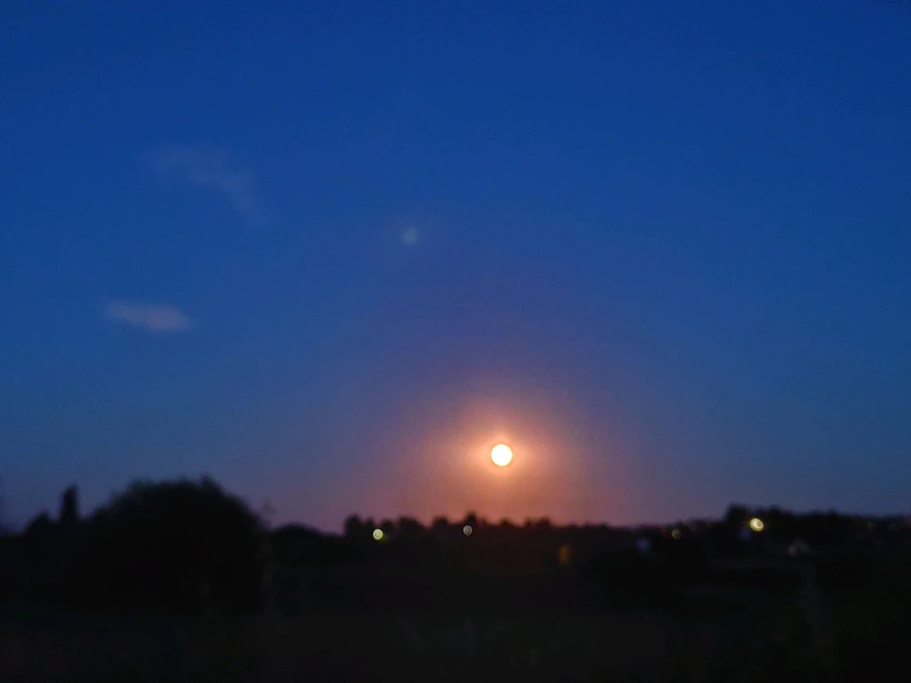 Obrázek nahrál Petra