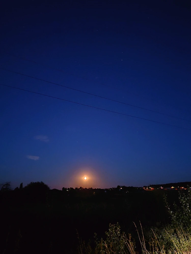 Obrázek nahrál Petra