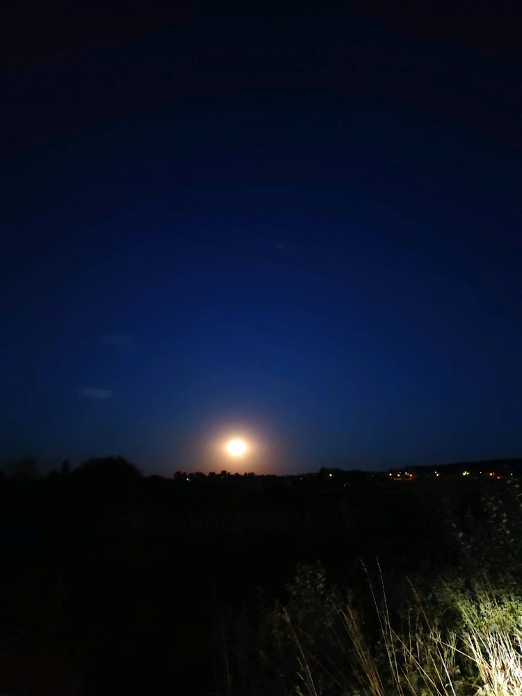 Obrázek nahrál Petra