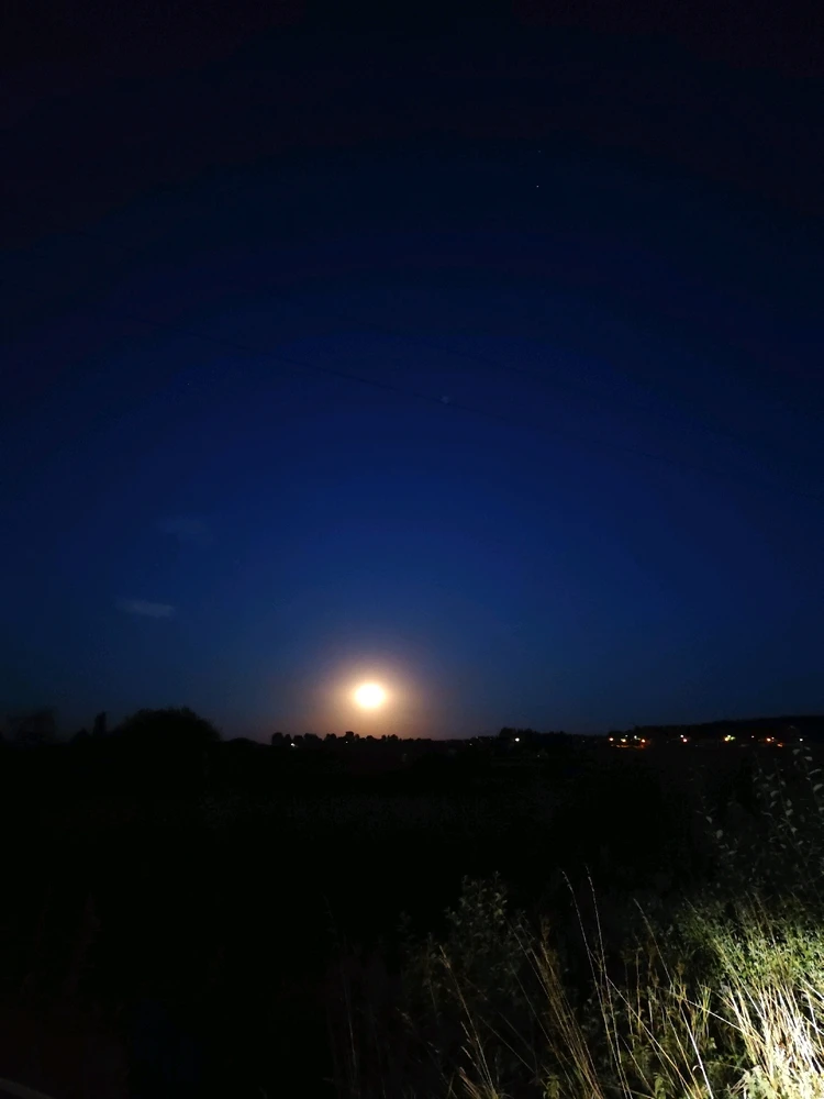 Obrázek nahrál Petra