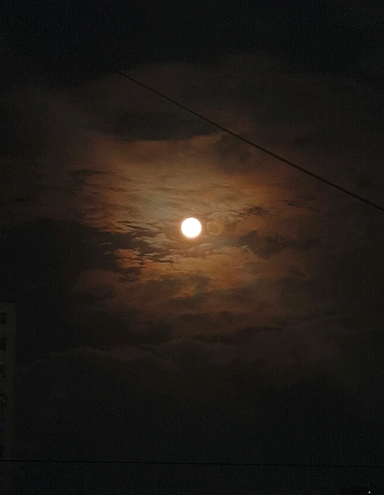 Imagen subida por Sofi