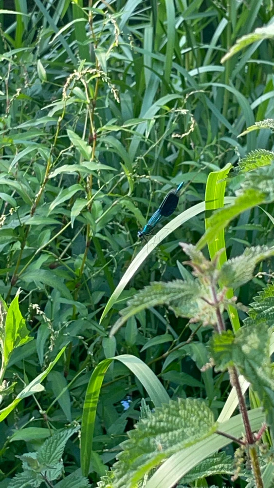 GIF uploaded by Leesha