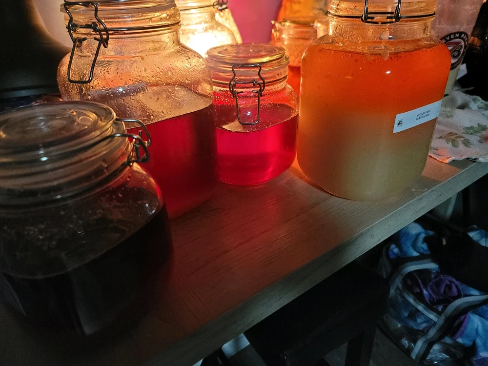 These are all the fermented cheongs.