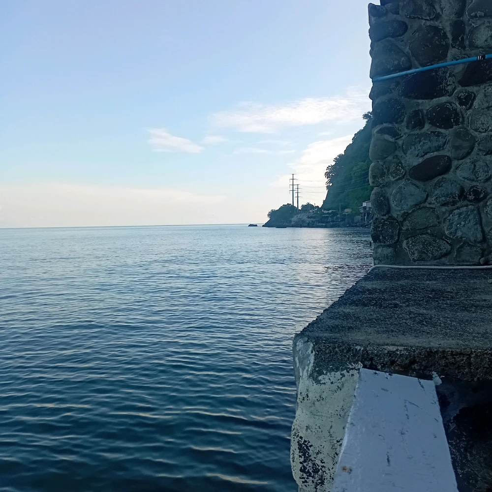 Image uploaded by MON