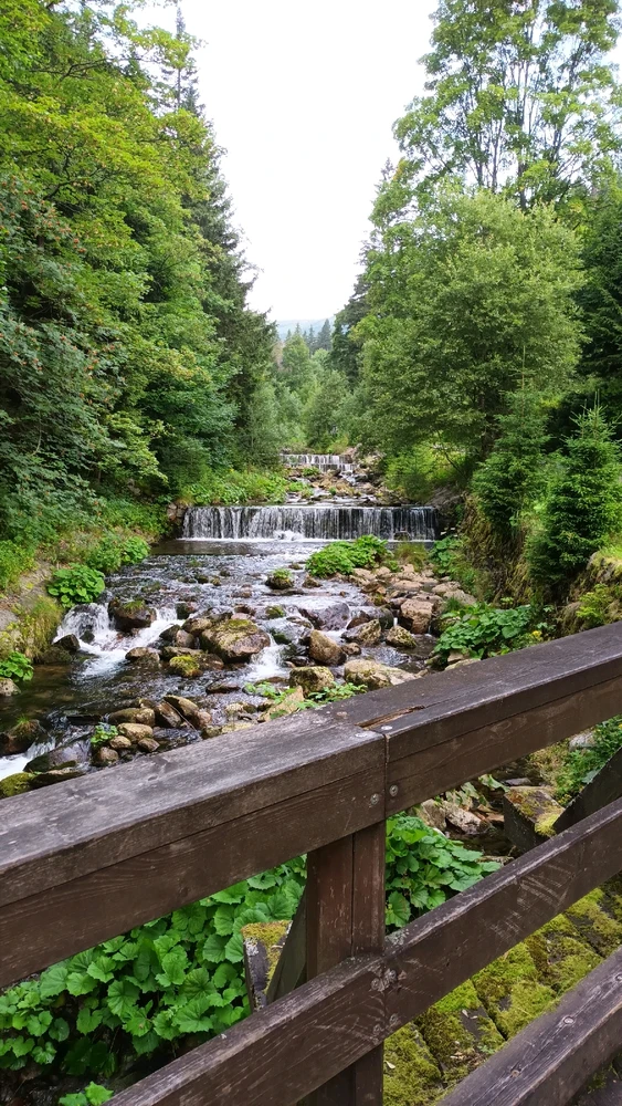 Obrázek nahrál Jan Horák