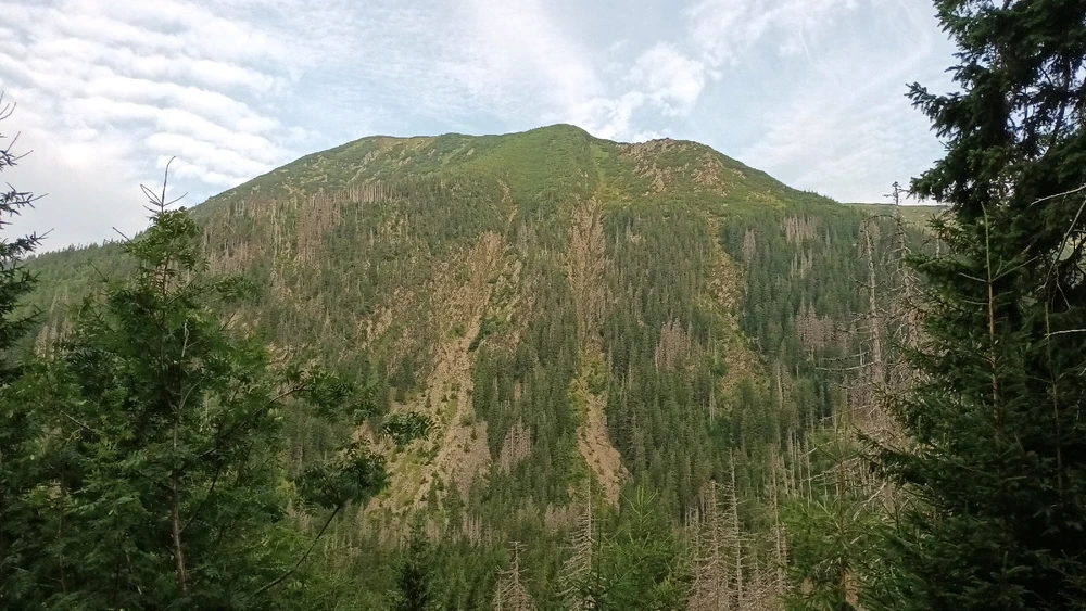 Obrázek nahrál Jan Horák