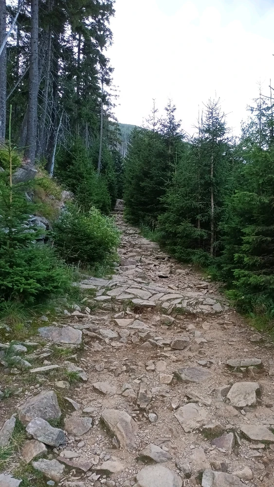 Obrázek nahrál Jan Horák