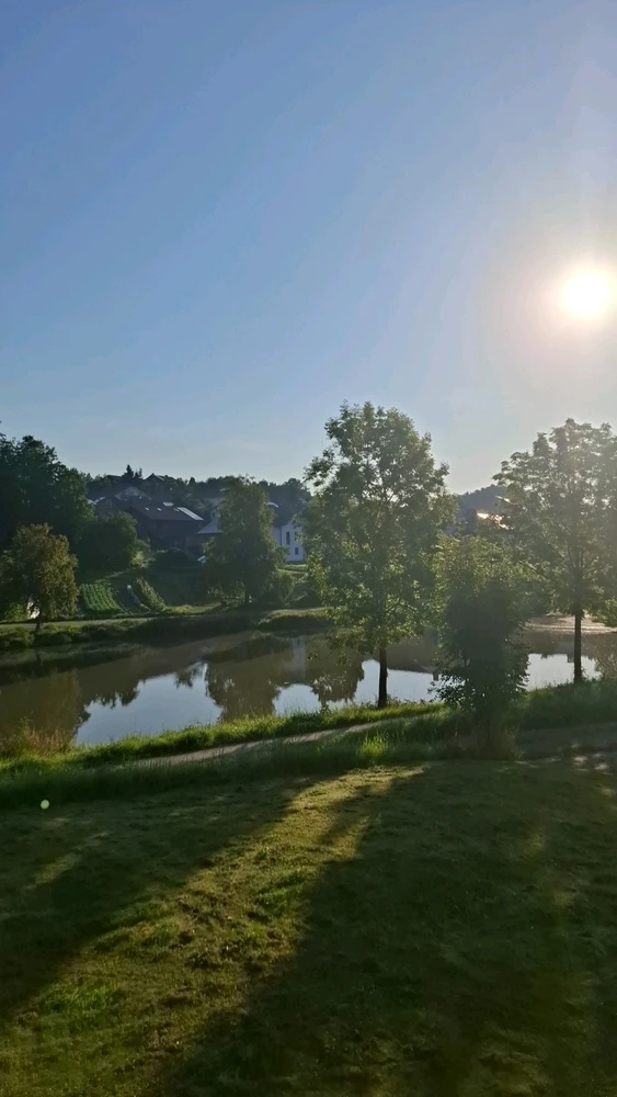 GIF hochgeladen von Theresa