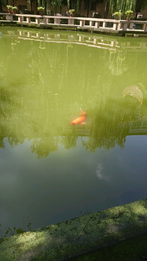 由zillion上传的图片