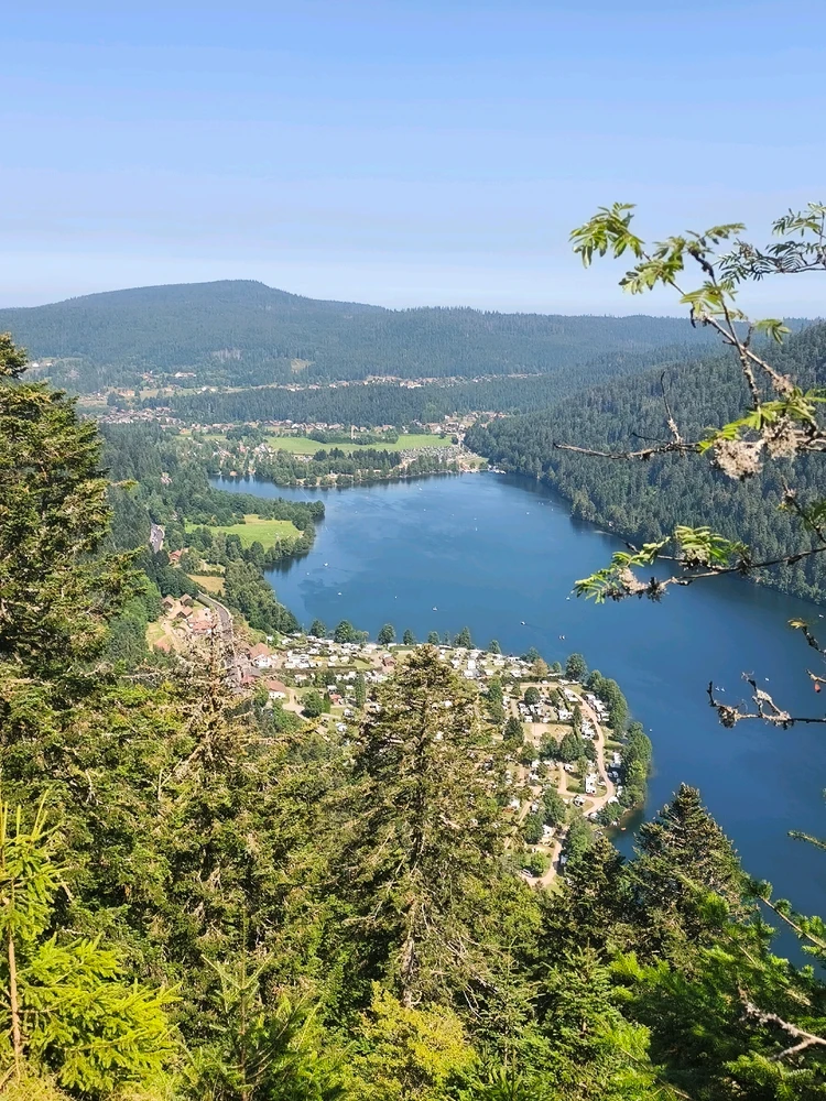 GIF ajouté par Coralie