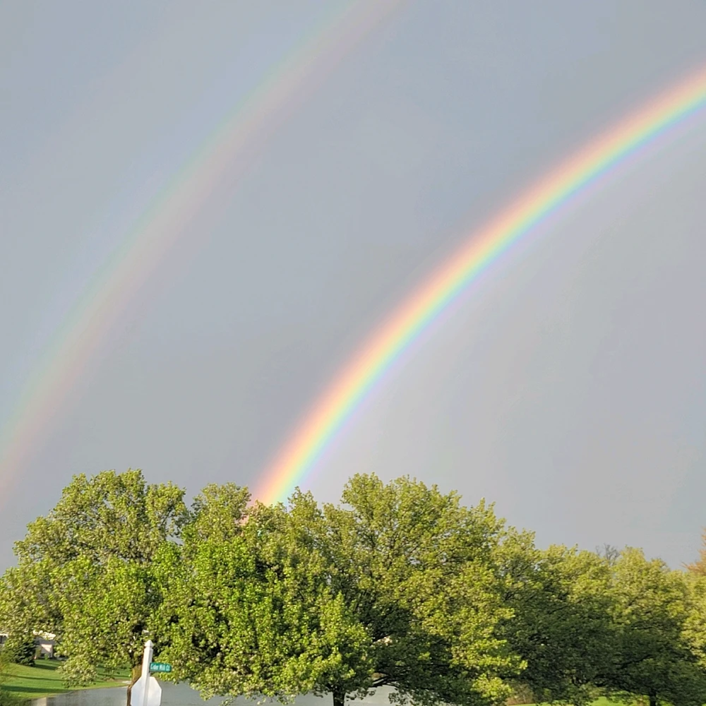 Image uploaded by Samantha