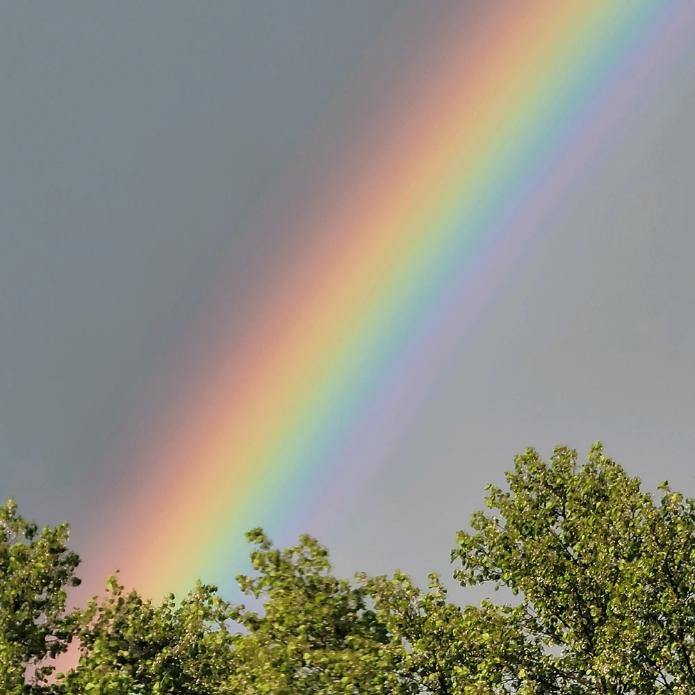 Image uploaded by Samantha