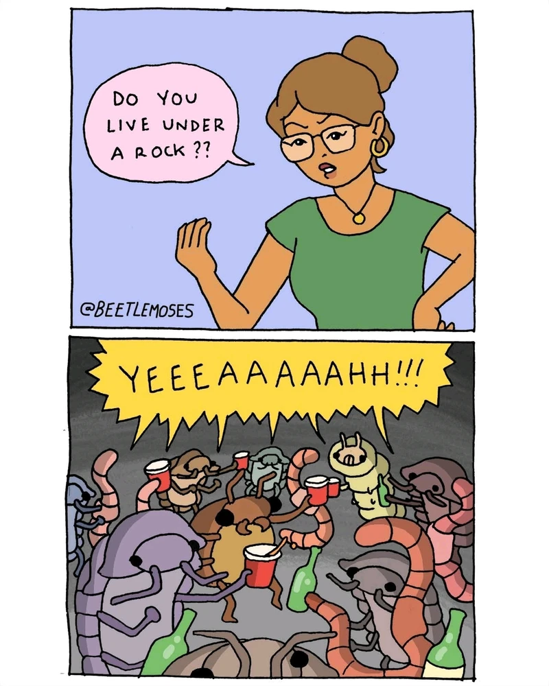 GIF hochgeladen von Doris