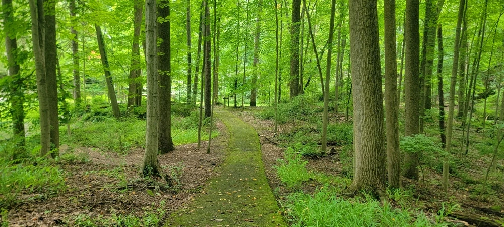 Image uploaded by Oleksander Stadnyk