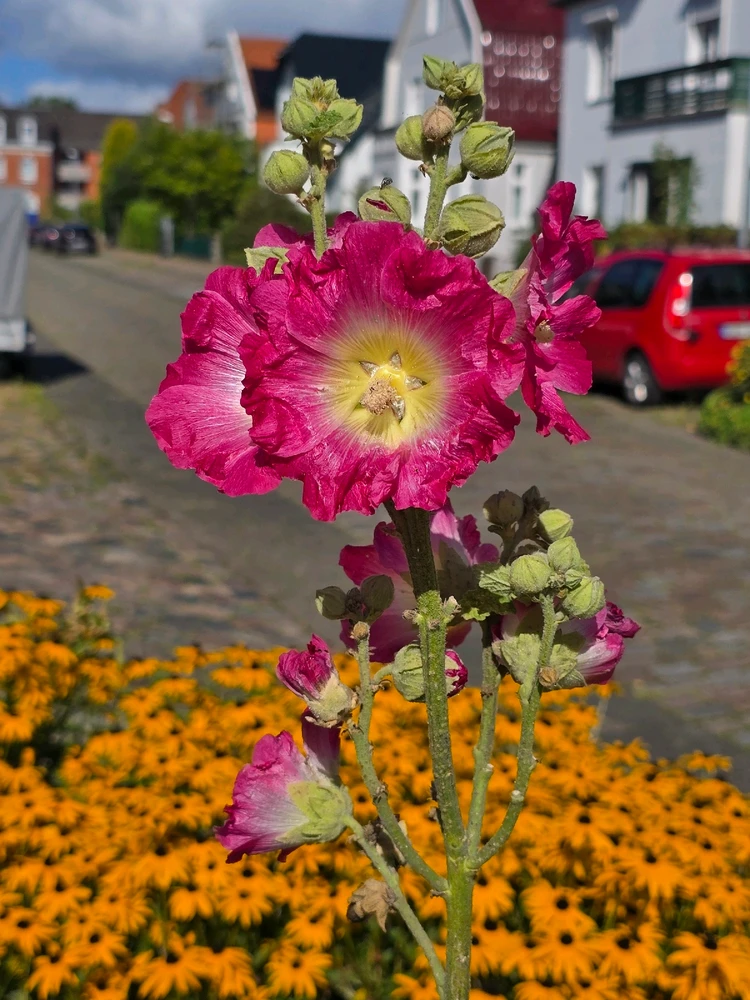 Bild hochgeladen von Sönke
