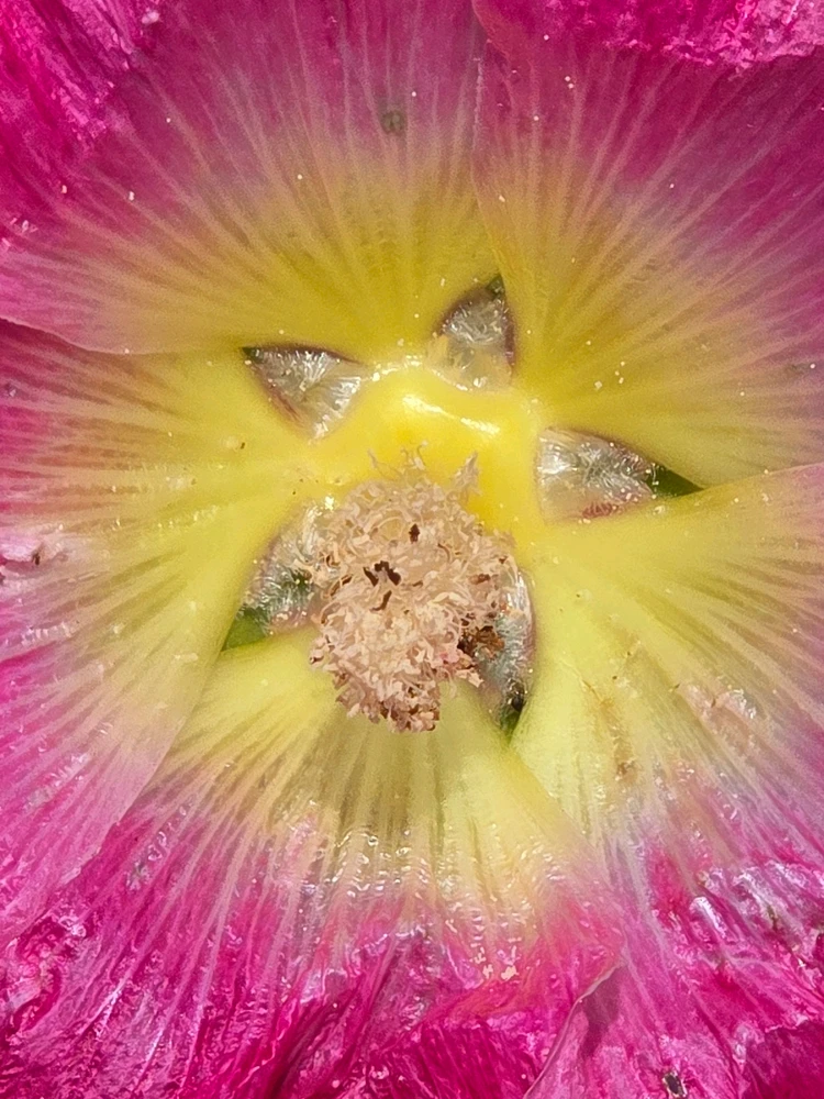 Bild hochgeladen von Sönke