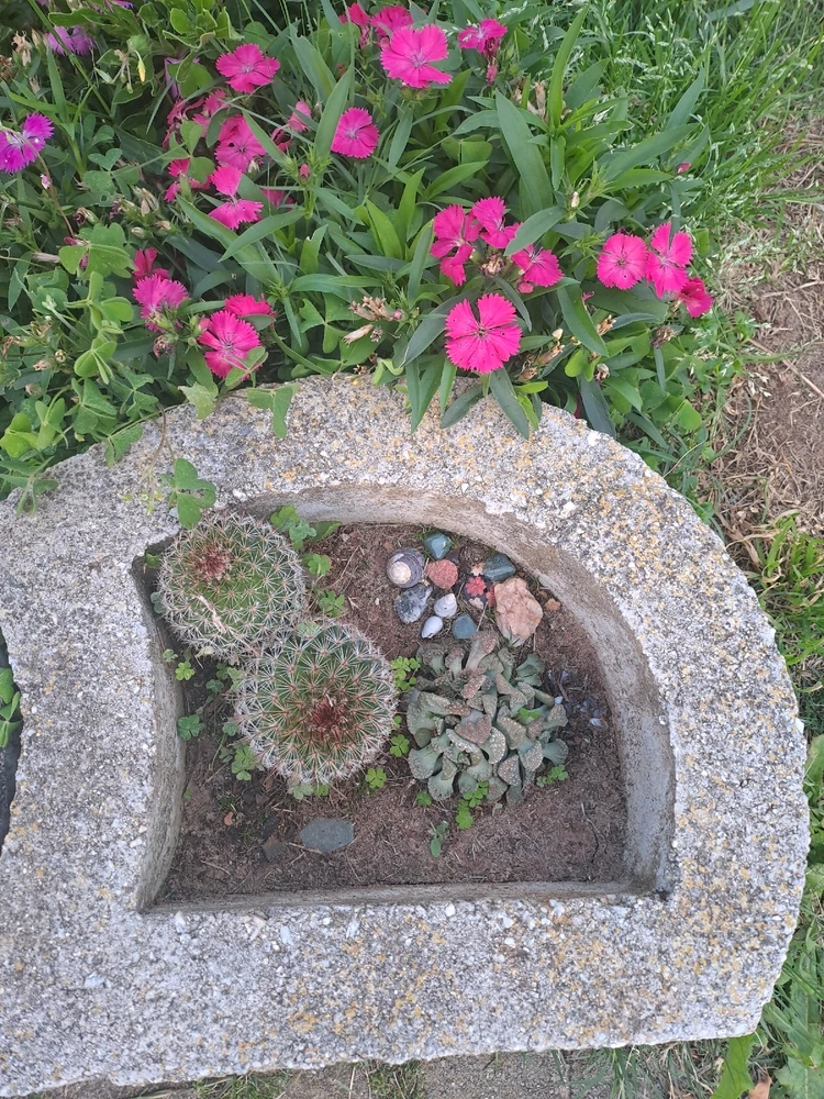 GIF uploaded by Sandz