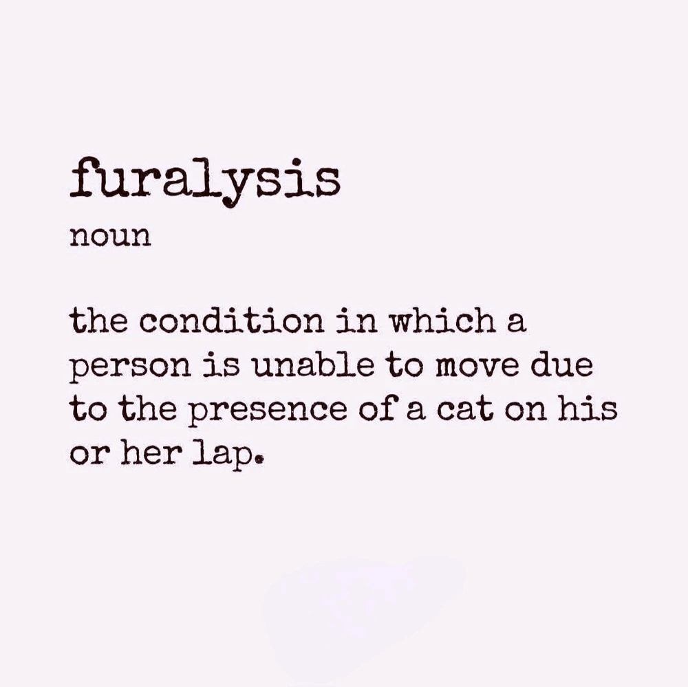 GIF hochgeladen von Doris