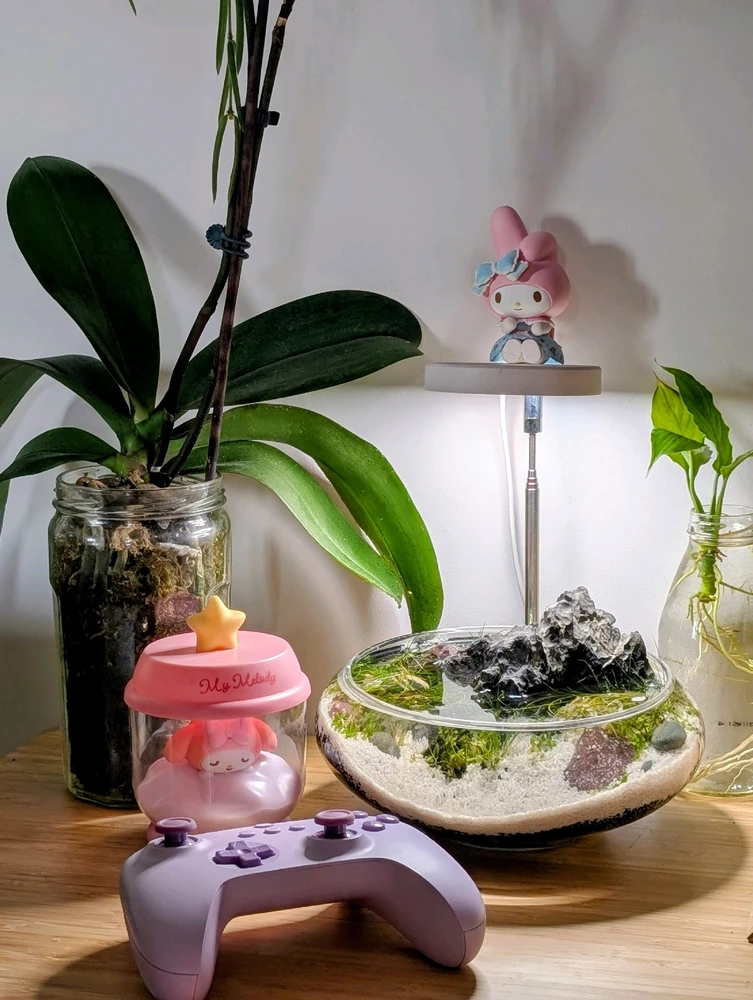 由Lilianne上传的图片