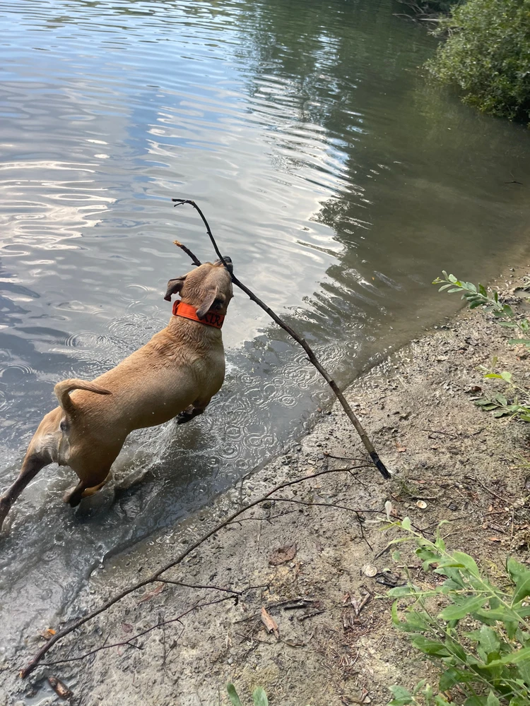 Fotku nahral/-a Frederik