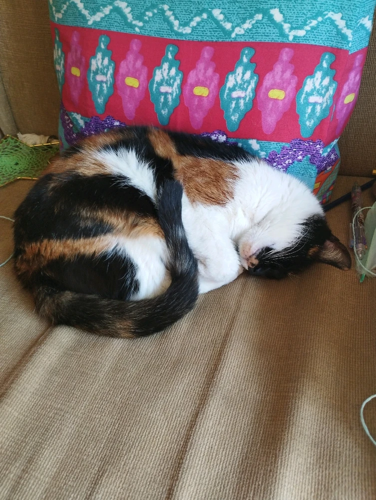 GIF otpremio/la Tadzule