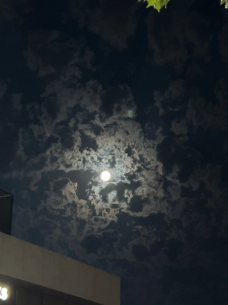 Okan Şener tarafından yüklenen GIF