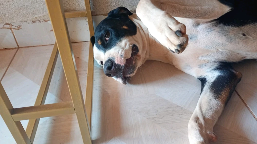 Imagem enviada por Kauã_Lustosa