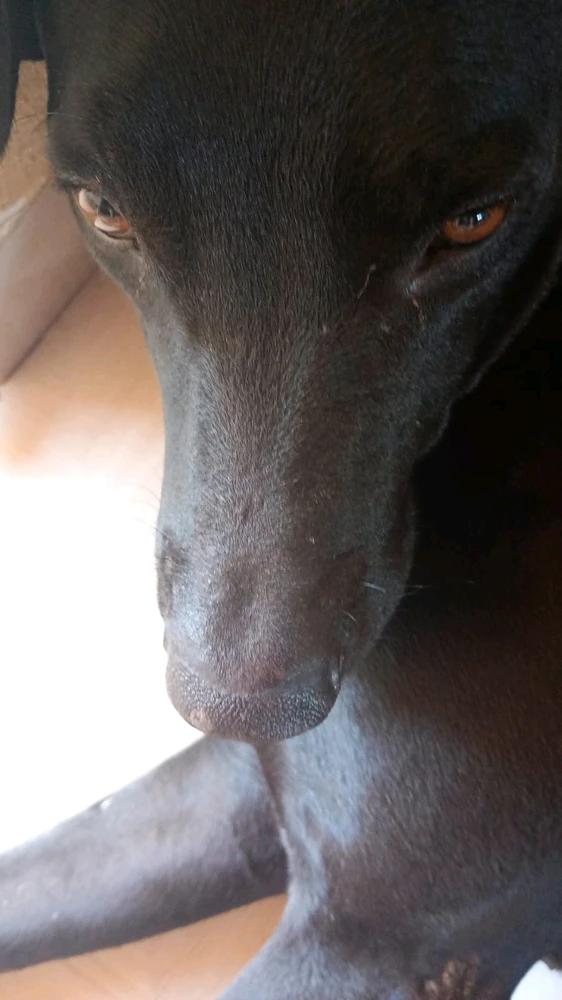 Imagem enviada por Kauã_Lustosa