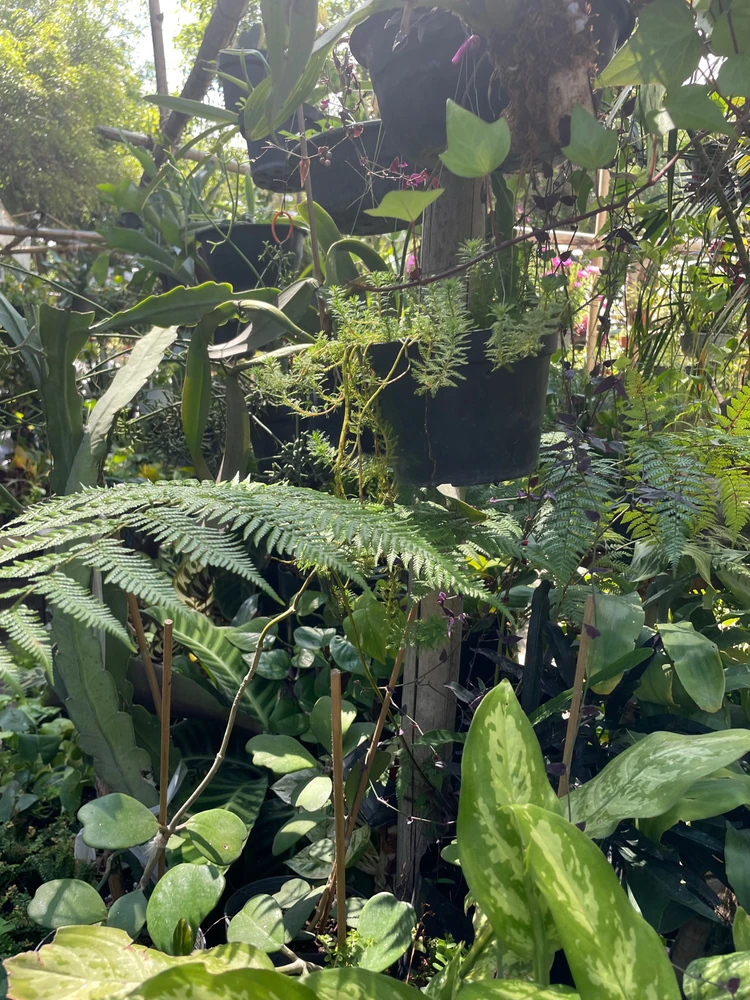 Imagen subida por Olivia