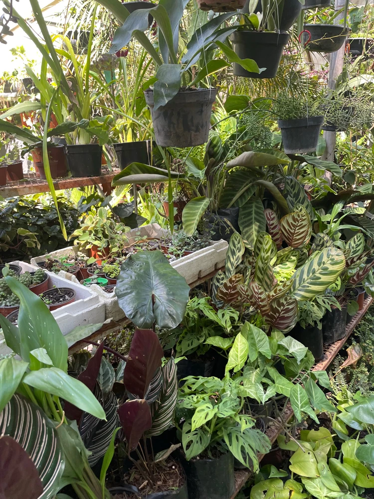 Imagen subida por Olivia