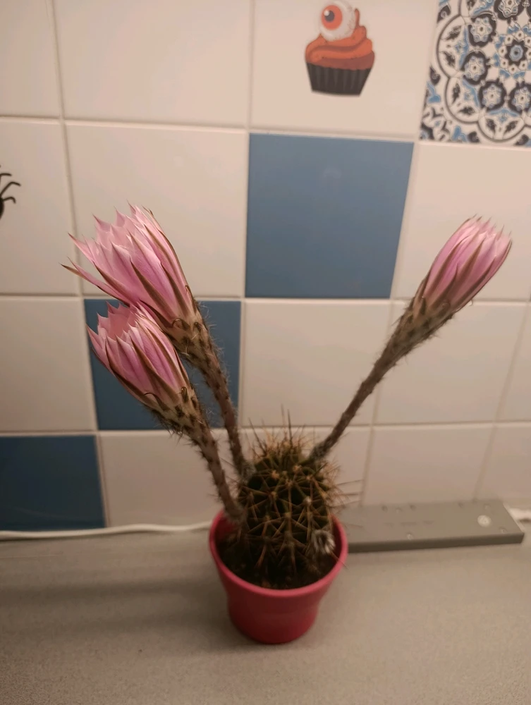 Obrázek nahrál ⭕⭕ Hlubina